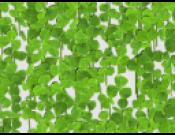 Lucky Clover Glover