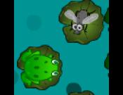 FrogFly