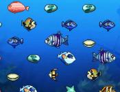 Couple Fishes