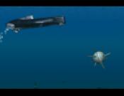 Sub Commander