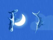 Swordfish Can't Fly
