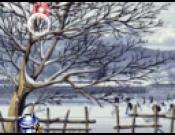 pang flash