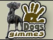 gimme5 - dogs