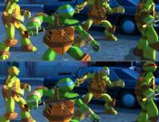 Ninja Turtles Differences