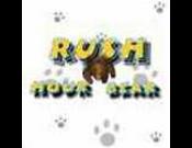 Rush Hour Bear