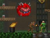 Flash-Doom 2D