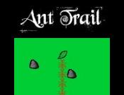 Ant Trail
