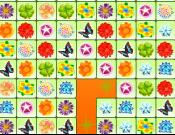 Colorful Flowers Link